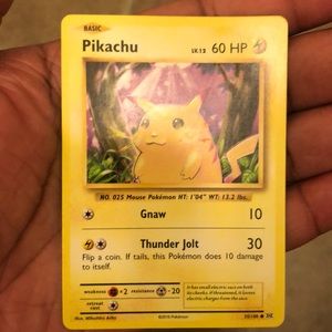 Pikachu Gnaw
